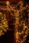 Terrain Stargazer Twinkling Tendril Vine Lights
