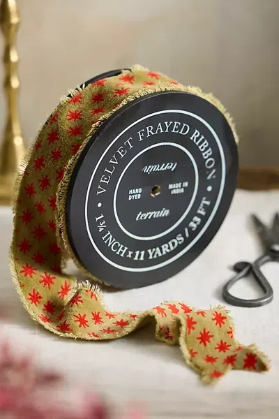 Terrain Starry Velvet Ribbon In Multi