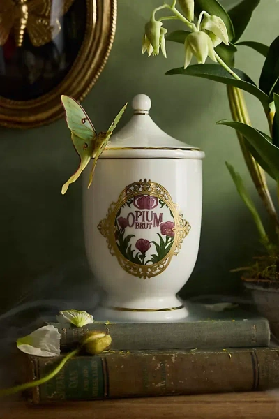 Terrain Stoneware Apothecary Jar