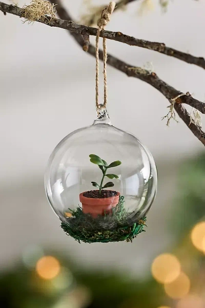Terrain Succulent Glass Globe Ornament In Multi