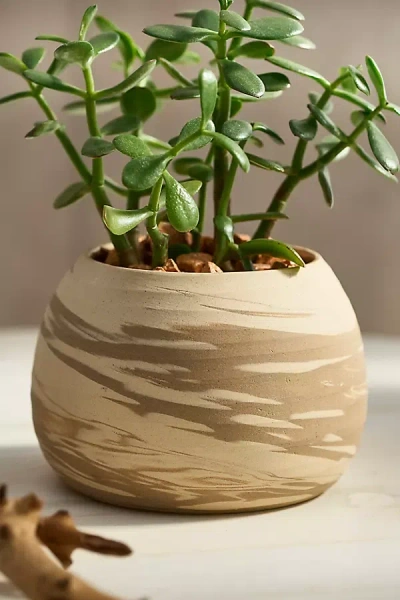Terrain Swirl Globe Stoneware Planter