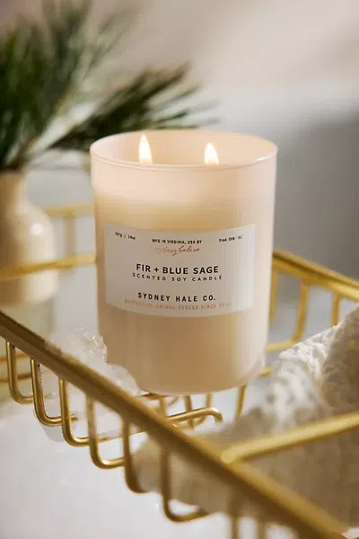 Terrain Sydney Hale Candle, Fir + Blue Sage In Multicolor