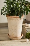 Terrain Tall Copenhagen Terracotta Pot + Saucer Set In Neutral