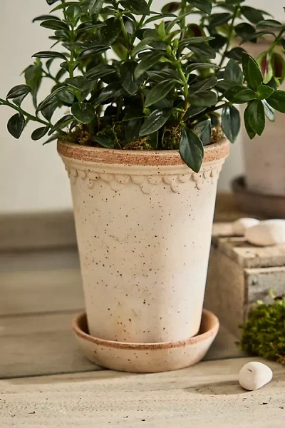 Terrain Tall Copenhagen Terracotta Pot + Saucer Set In Neutral