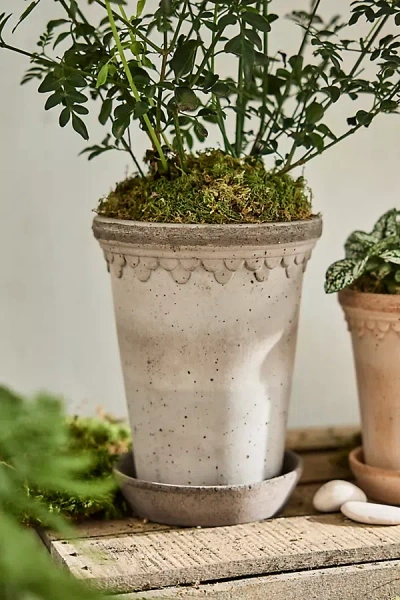 Terrain Tall Copenhagen Terracotta Pot + Saucer Set