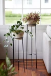 Terrain Tall Iron Plant Stand