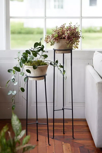 Terrain Tall Iron Plant Stand In Black