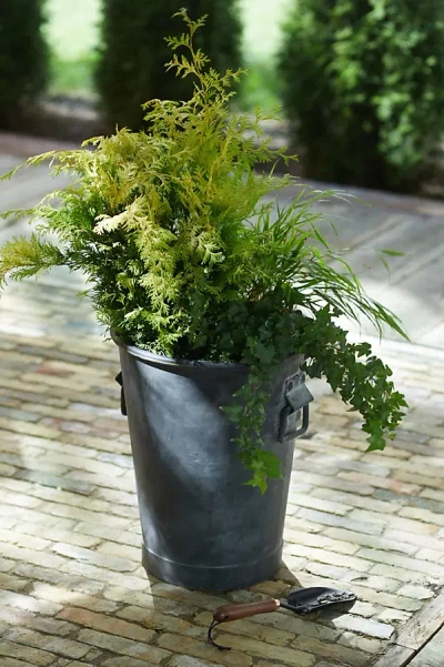 Terrain Taper Ring Handle Galvanized Planter, 16" In Black