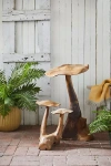 TERRAIN TEAK MUSHROOM, EXTRA TALL