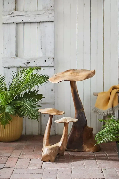 Terrain Teak Mushroom, Extra Tall In Brown