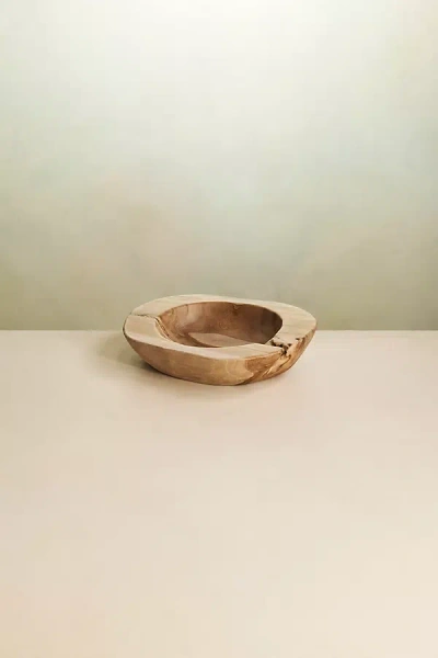 Terrain Teak Root Bowl Planter, 12"