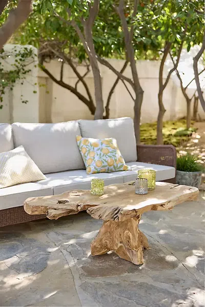 Terrain Teak Root Coffee Table In Neutral