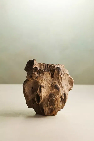 Terrain Teak Root Form Planter, 4"
