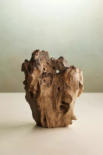 Terrain Teak Root Form Planter, 6"
