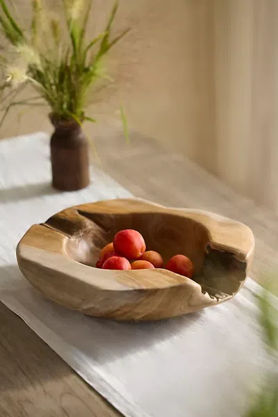 Terrain Teak Root Round Bowl Planter In Brown
