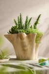 Terrain Teak Root Ruffled Bowl Planter