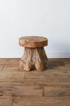 Terrain Teak Root Side Table