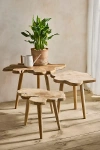 Terrain Teak Root Slice Nesting Tables, Set Of 3 In Brown