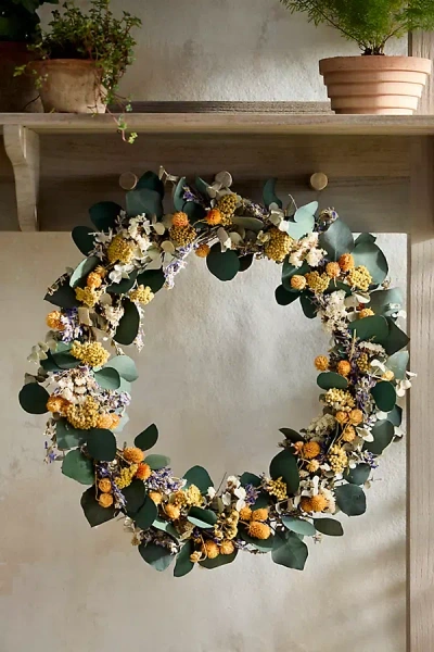 Terrain Terrace Garden Dried Wreath In Multi