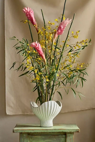 Terrain Terracotta Scallop Shell Bowl Planter