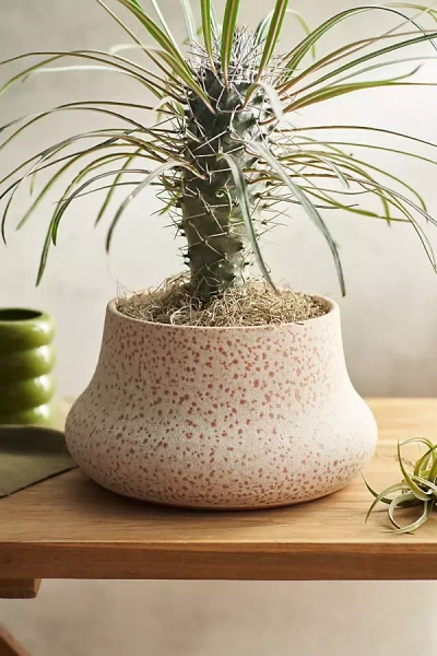 Terrain Terracotta Tall Rim Planter In Neutral