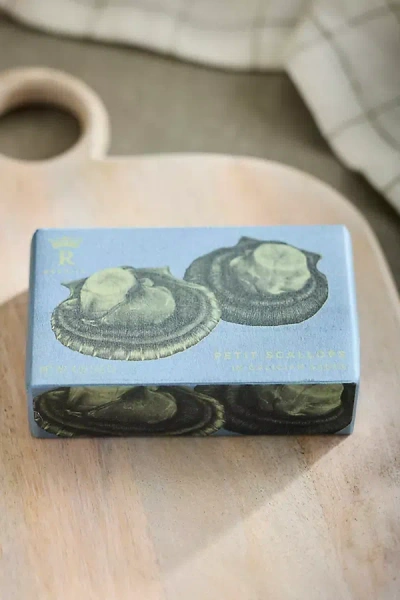 Terrain Tinned Petit Scallops