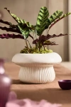 Terrain Toadstool Ceramic Planter In White