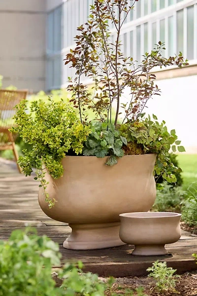 Terrain Torino Concrete Oval Planter