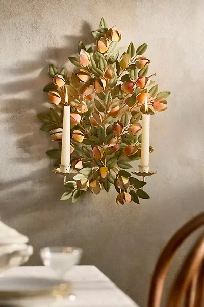 Terrain Tulip Iron Taper Holder Wall Sconce In Green