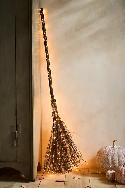 Terrain Twinkling Illuminated Vine Broom