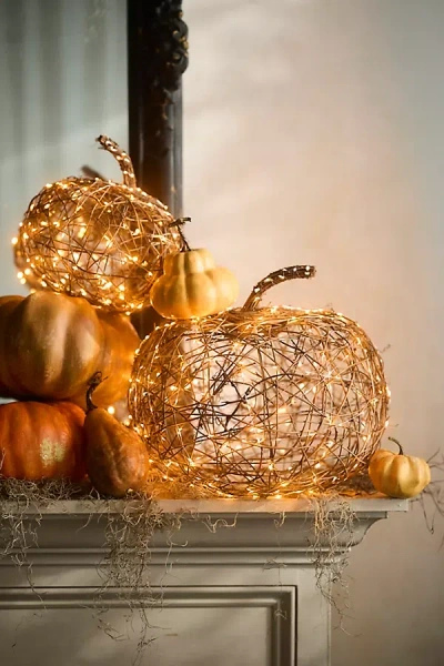 Terrain Twinkling Illuminated Vine Pumpkin In Multi
