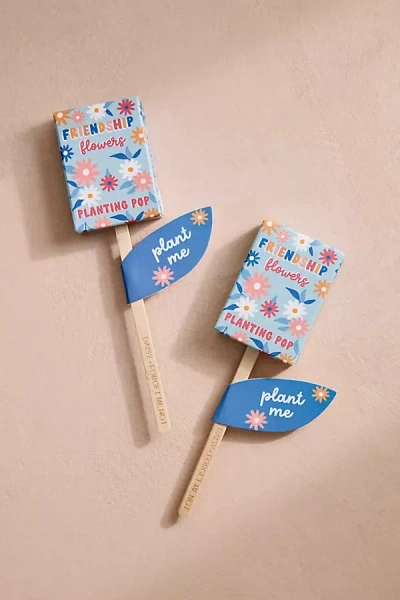 Terrain Valentine Seed Planting Pops, Set Of 2