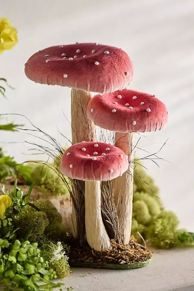 Terrain Velvet Mushroom Trio, Large In Pink