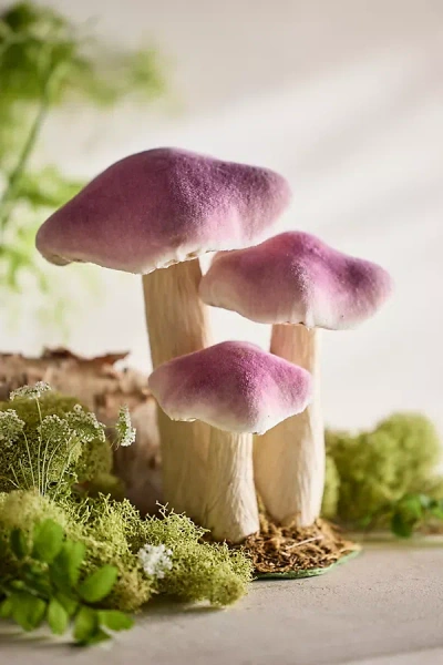 Terrain Velvet Mushroom Trio, Small In Purple
