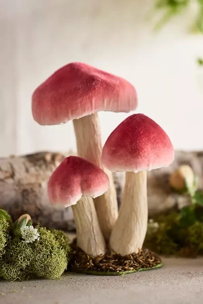 Terrain Velvet Mushroom Trio, Small In Pink
