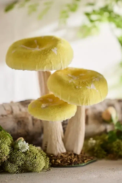 Terrain Velvet Mushroom Trio, Small In Yellow