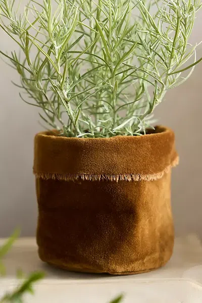Terrain Velvet Pot Cover In Brown