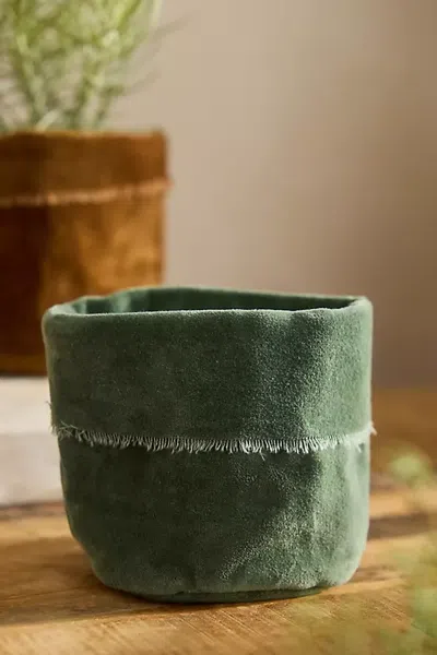 Terrain Velvet Pot Cover In Green