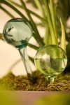 Terrain Watering Globes, Set Of 2