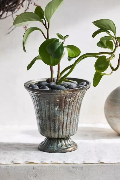 Terrain Weathered Flare Urn Planter In Pattern