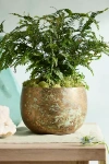 Terrain Weathered Iron Round Bowl Planter