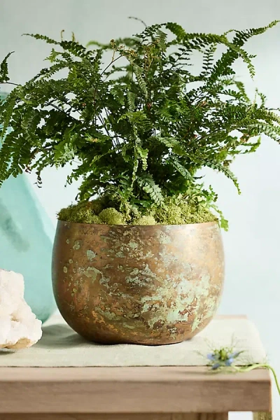 Terrain Weathered Iron Round Bowl Planter