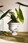 Terrain Weathered Mid-century Cement Urn