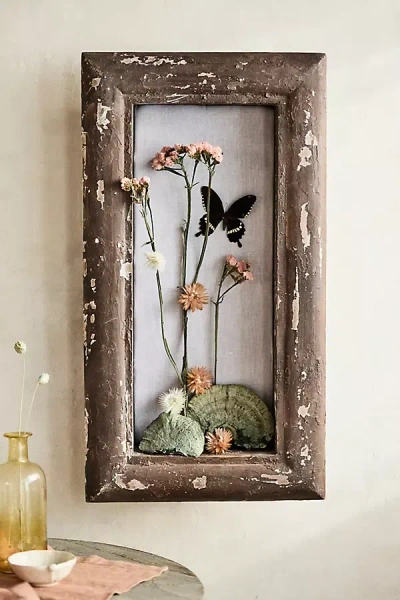 Terrain Weathered Rectangle Shadowbox