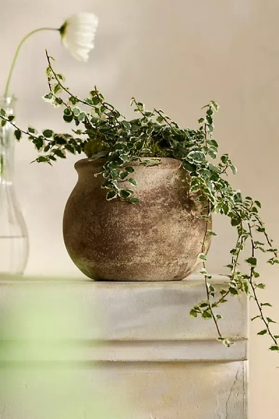 Terrain Weathered Terracotta Jar Planter
