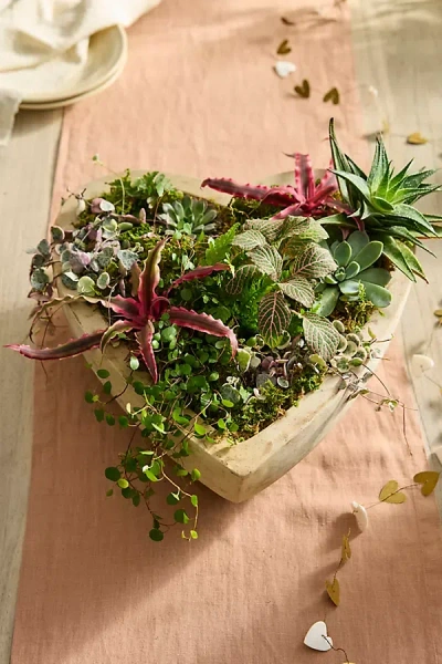 Terrain White Terracotta Heart Planter In Multi