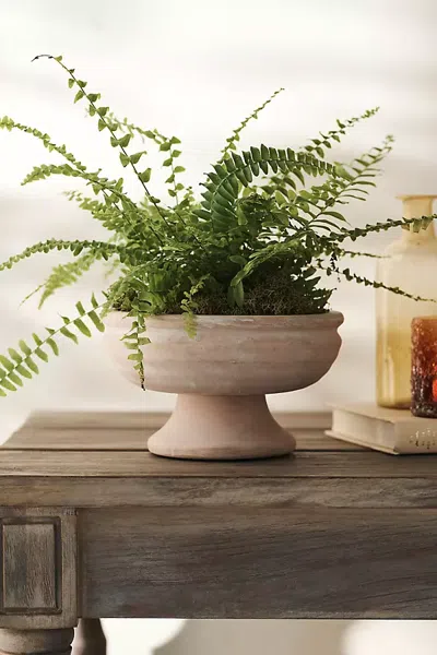 Terrain Wide Bowl Urn Planter In Brown