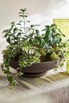 Terrain Ada Terracotta Bowl + Saucer Set