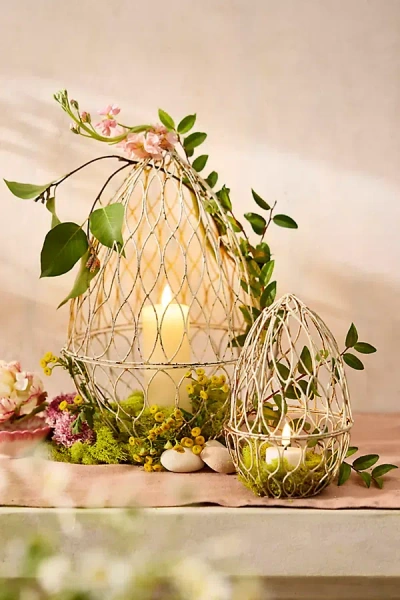 Terrain Wire Egg Cloche