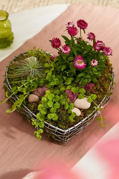 Terrain Wire Heart Bowl
